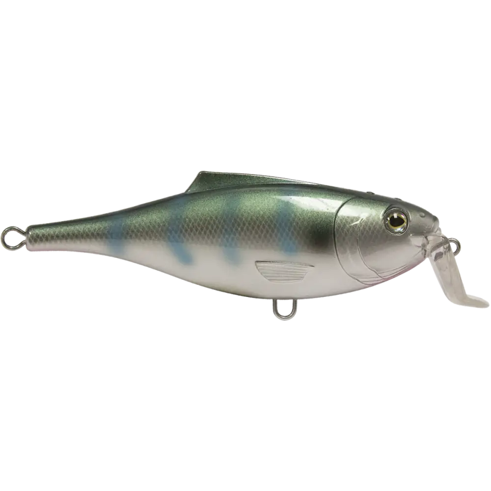 BullDozer Shallow-Diving Crankbait for Musky Pike & Walleye – EBS Sound Technology | Color Sound: Natural Perch
