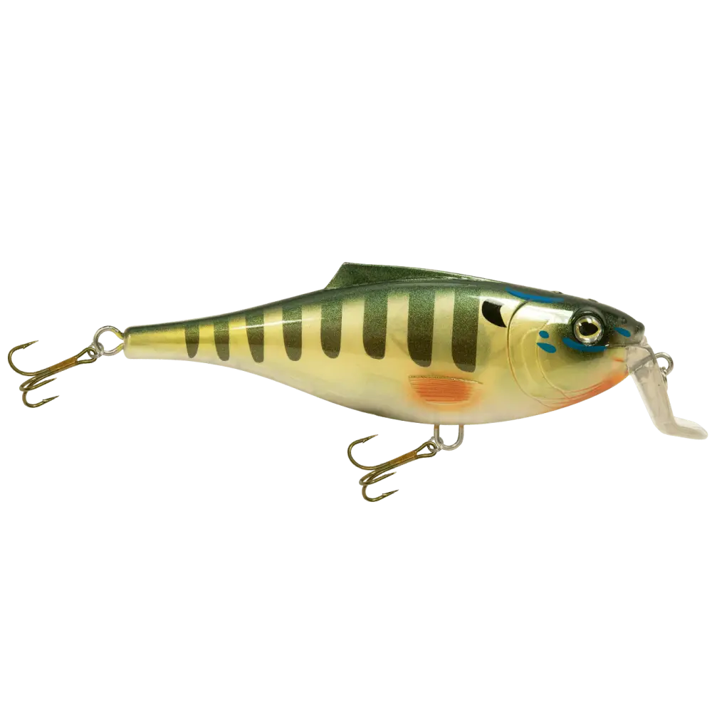 BullDozer Shallow-Diving Crankbait for Musky Pike & Walleye – EBS Sound Technology | Color Sound: Natural Perch