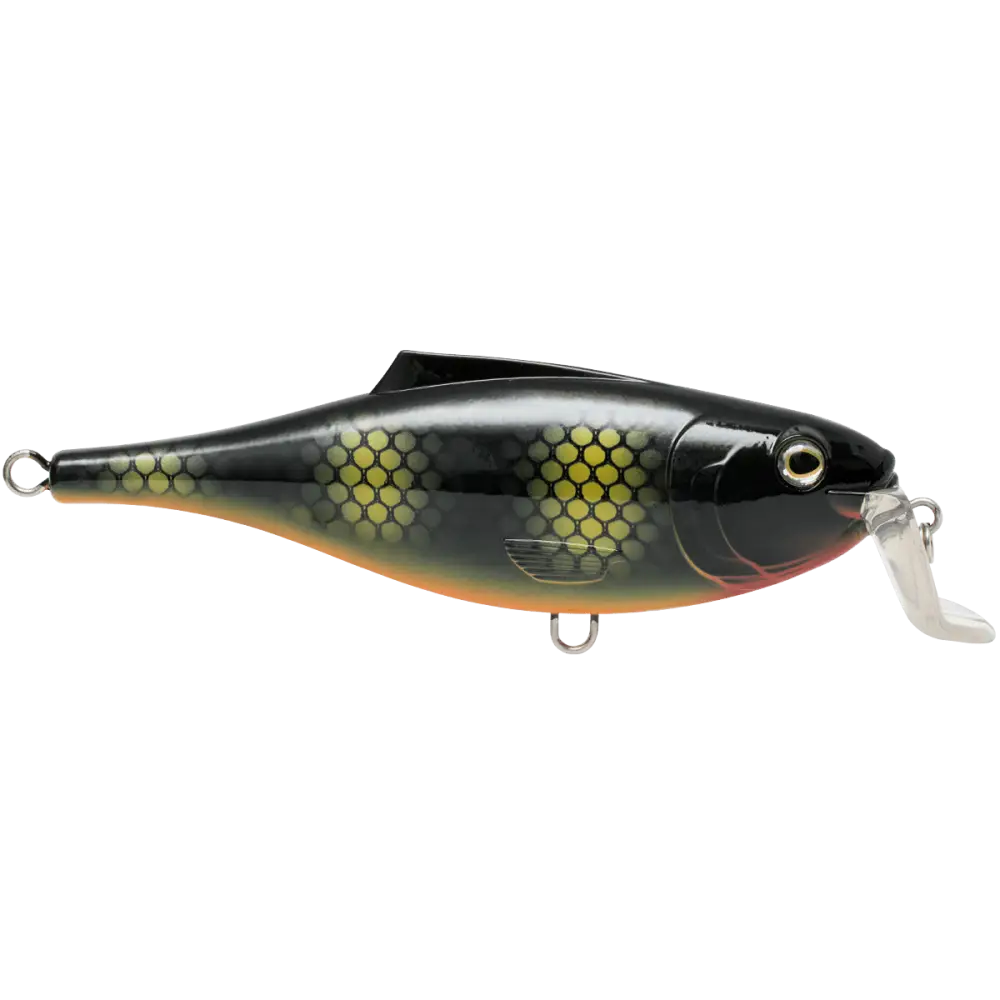 BullDozer Shallow-Diving Crankbait for Musky Pike & Walleye – EBS Sound Technology | Color Sound: Natural Perch