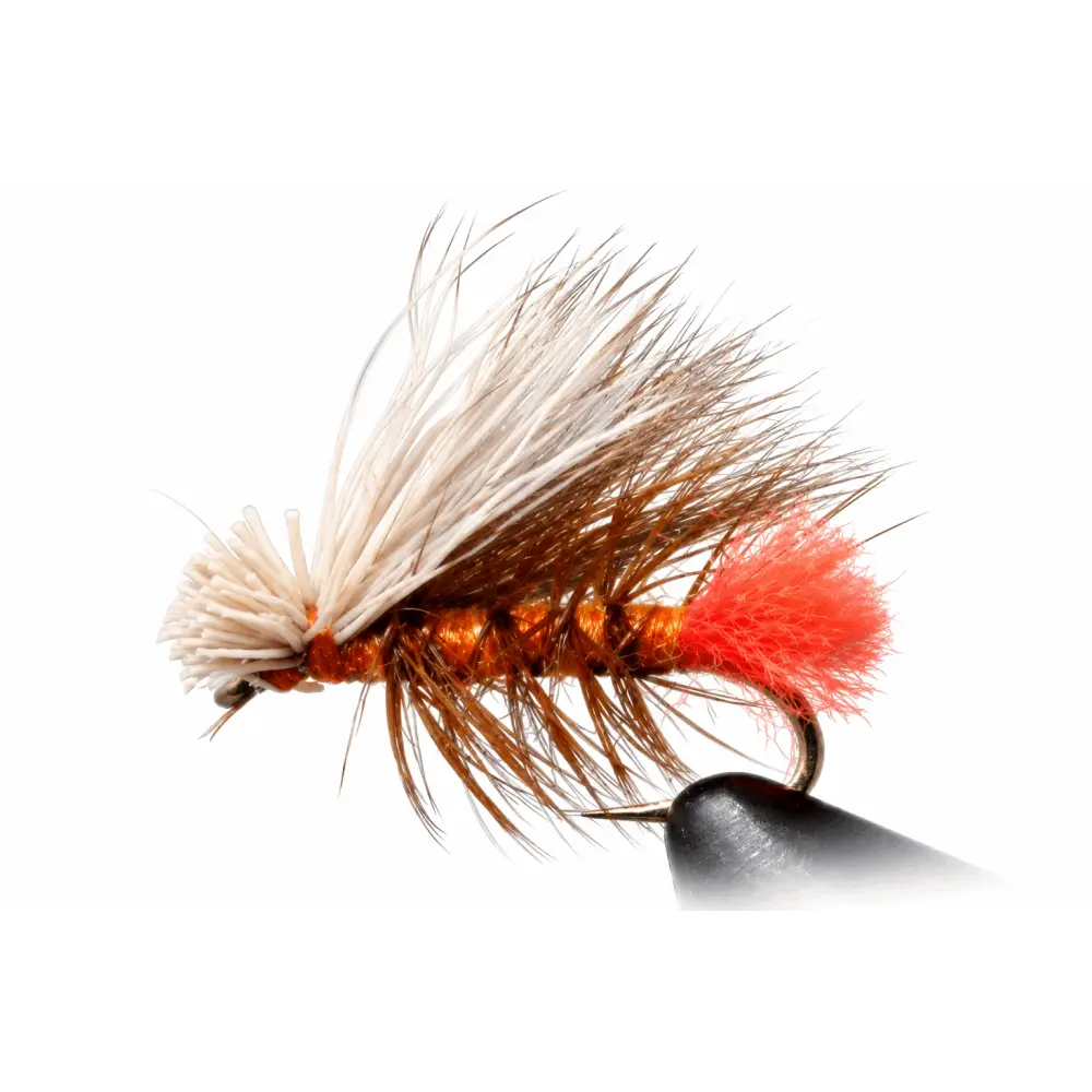 Caddis – Elk Hair (Hot Butt) | Size: 12 14 16 18 | Package: 3 Pack Dozen - Artificial Fishing Flies