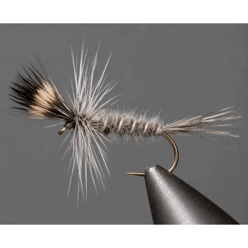 Crane Fly Larva | Package: 6 8 10 12 | Size: 3 Pack Dozen - Artificial Fishing Flies
