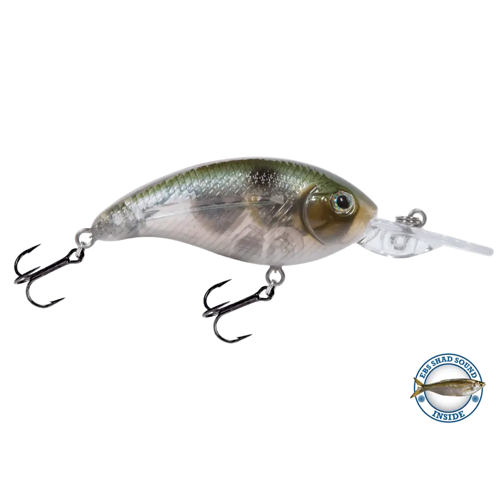 Deep Impact 6 Shallow Crankbait – EBS Sound Technology | Color: AYU Baby Bass Melon Shad Chartreuse Sunrise Clearwater