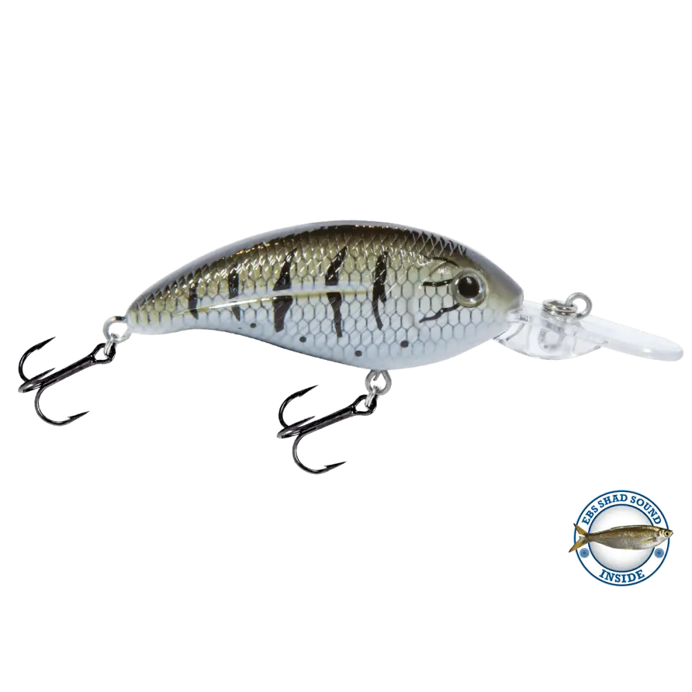 Deep Impact 6 Shallow Crankbait – EBS Sound Technology | Color: AYU Baby Bass Melon Shad Chartreuse Sunrise Clearwater