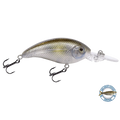 Deep Impact 6 Shallow Crankbait – EBS Sound Technology | Color: AYU Baby Bass Melon Shad Chartreuse Sunrise Clearwater