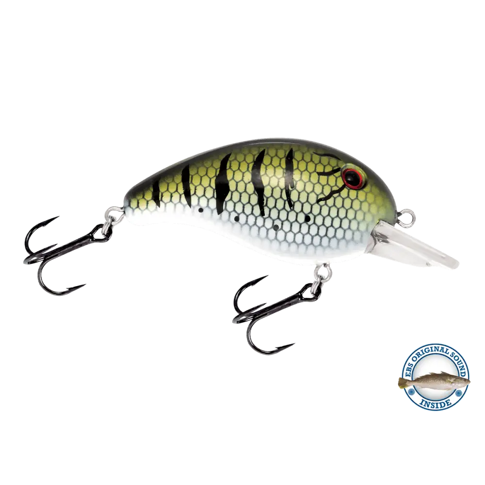 Dive Master Jr. Shallow-Diving Crankbait – EBS Sound Technology | Color: Chartreuse Splatter Shad Spring Craw Baby Bass