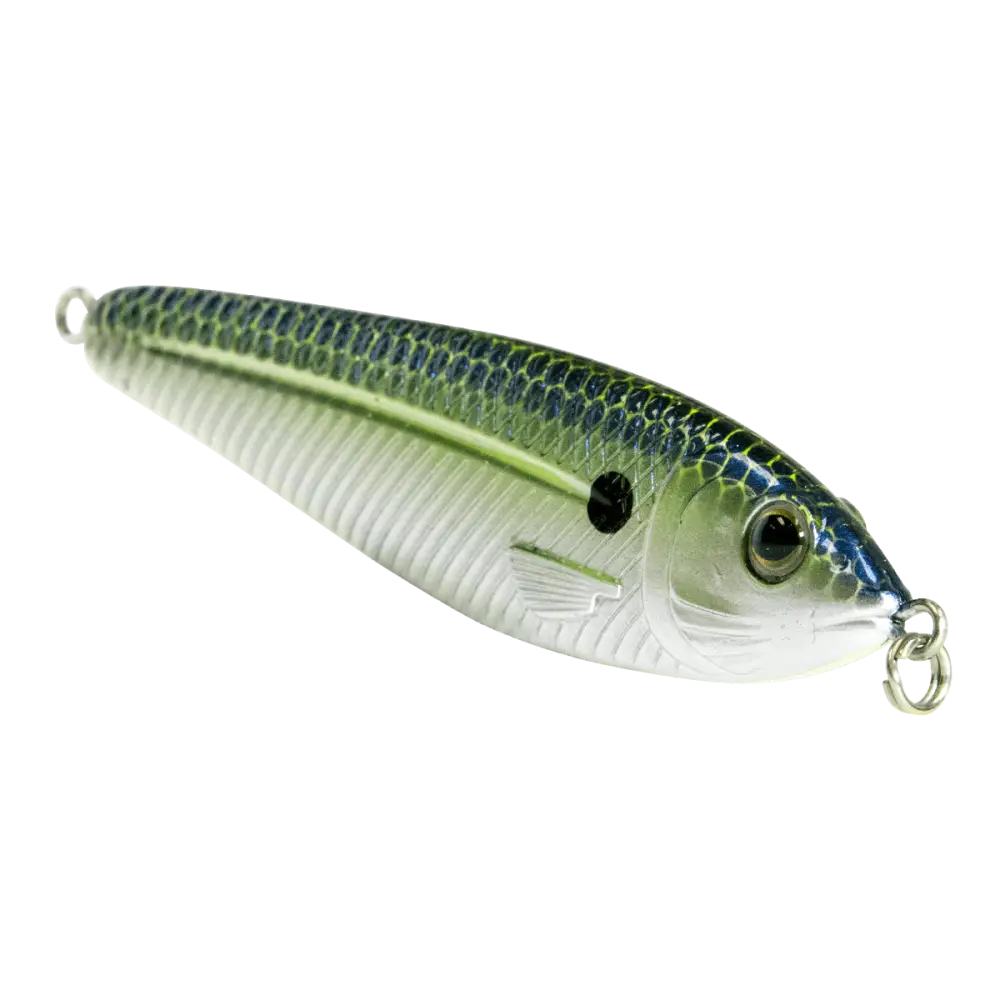 EBS Jigging Spoon – All-Season Vertical Lure with Sound Technology | Color: Chartreuse Shad Black Back Chrome Blue