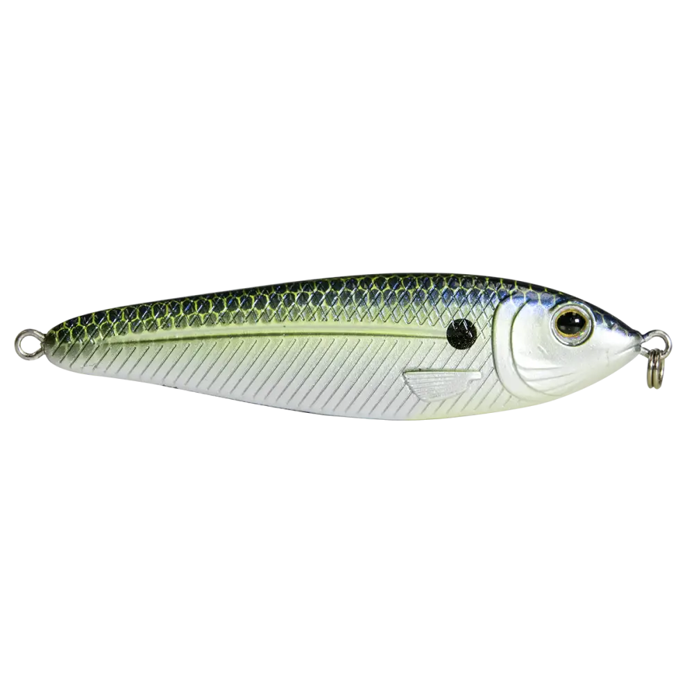 EBS Jigging Spoon – All-Season Vertical Lure with Sound Technology | Color: Chartreuse Shad Black Back Chrome Blue