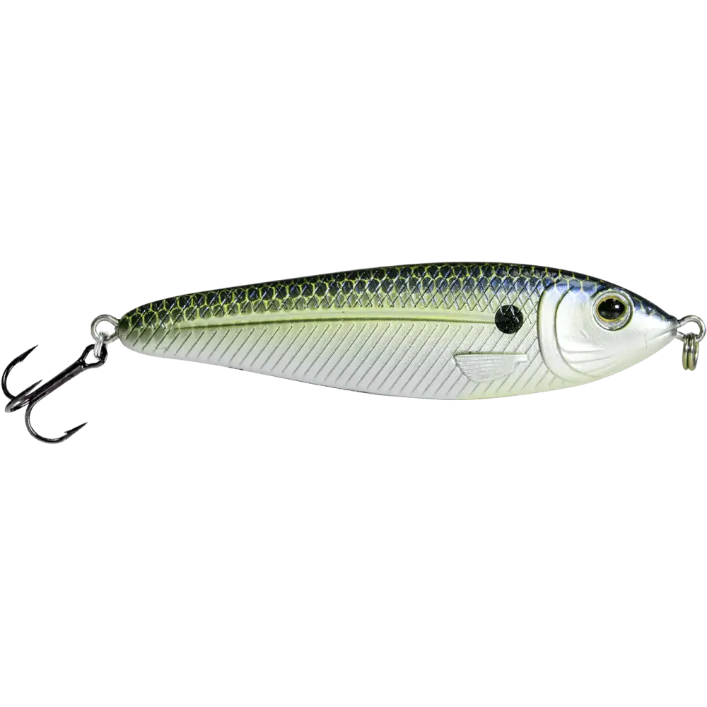 EBS Jigging Spoon – All-Season Vertical Lure with Sound Technology | Color: Chartreuse Shad Black Back Chrome Blue
