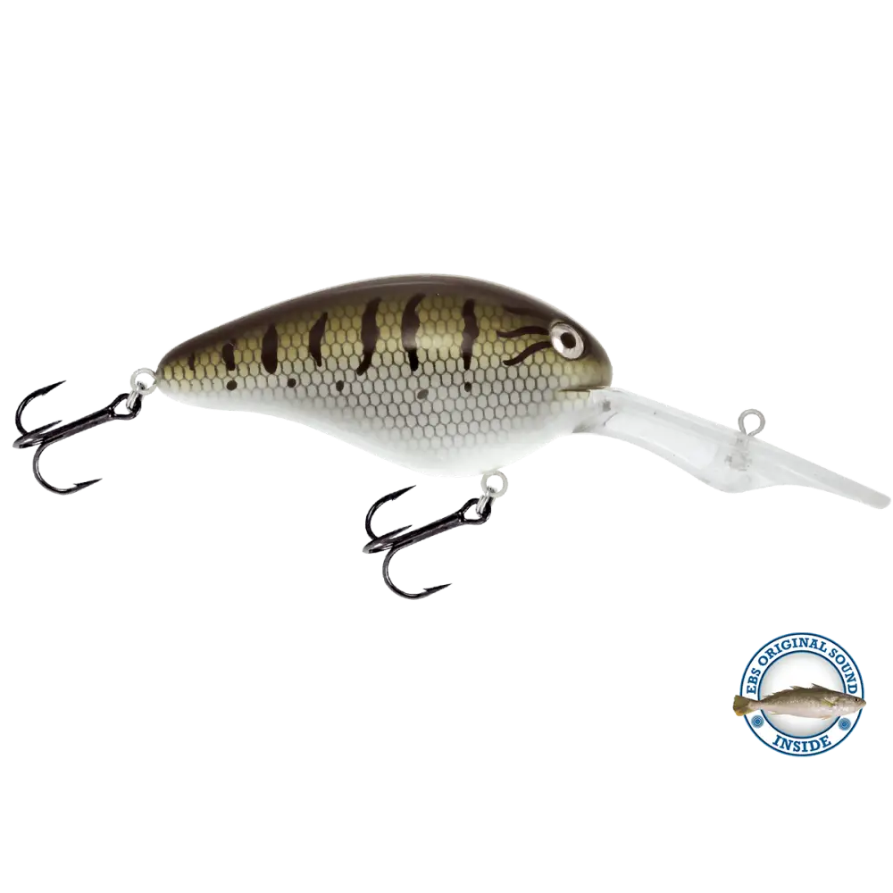 EBS Spinner 50 Inline for Muskie Walleye & Bass – Sound Technology | Color: Tiger Spots Spring Craw Baby Candy Shad