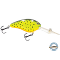 EBS Spinner 50 Inline for Muskie Walleye & Bass – Sound Technology | Color: Tiger Spots Spring Craw Baby Candy Shad