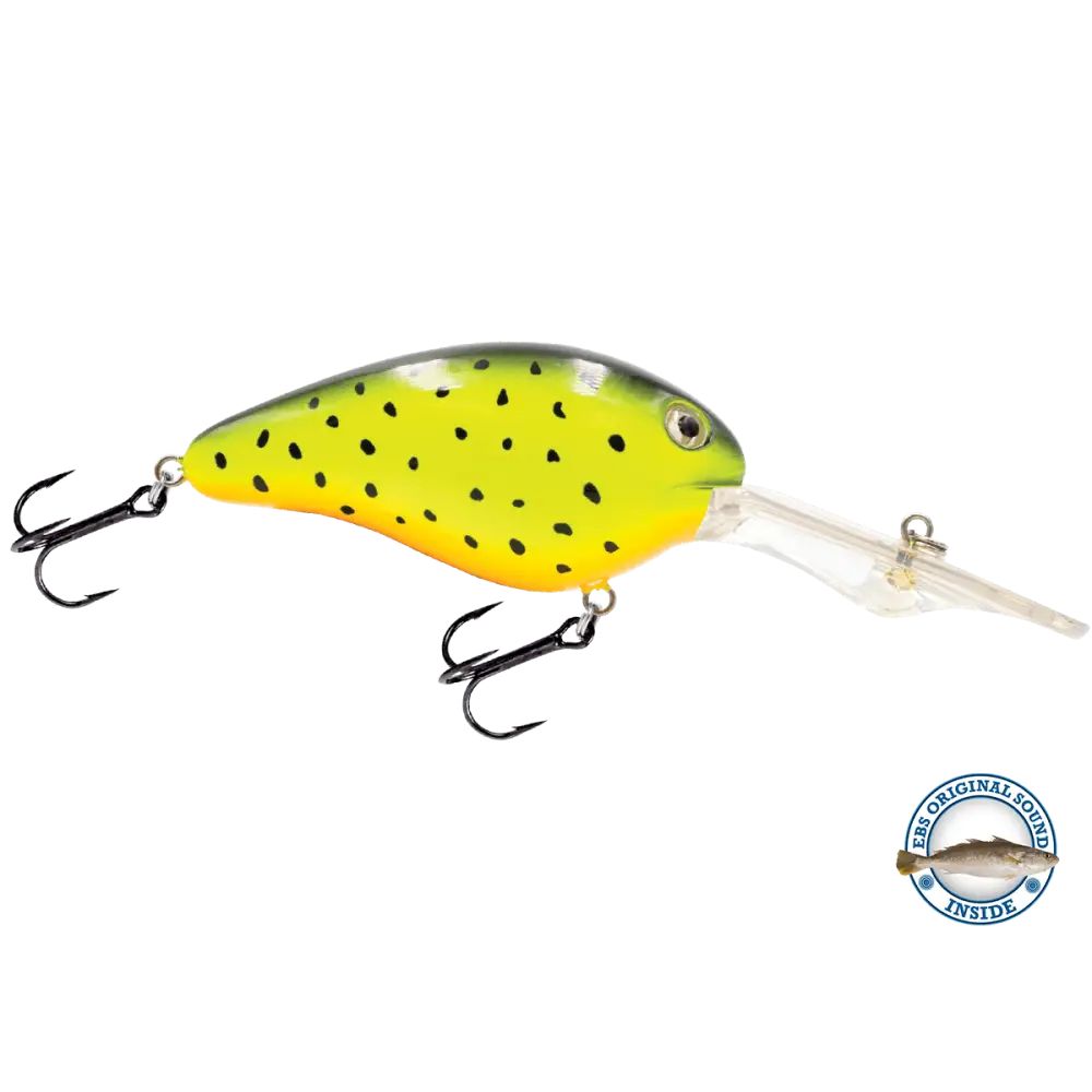 EBS Spinner 50 Inline for Muskie Walleye & Bass – Sound Technology | Color: Tiger Spots Spring Craw Baby Candy Shad