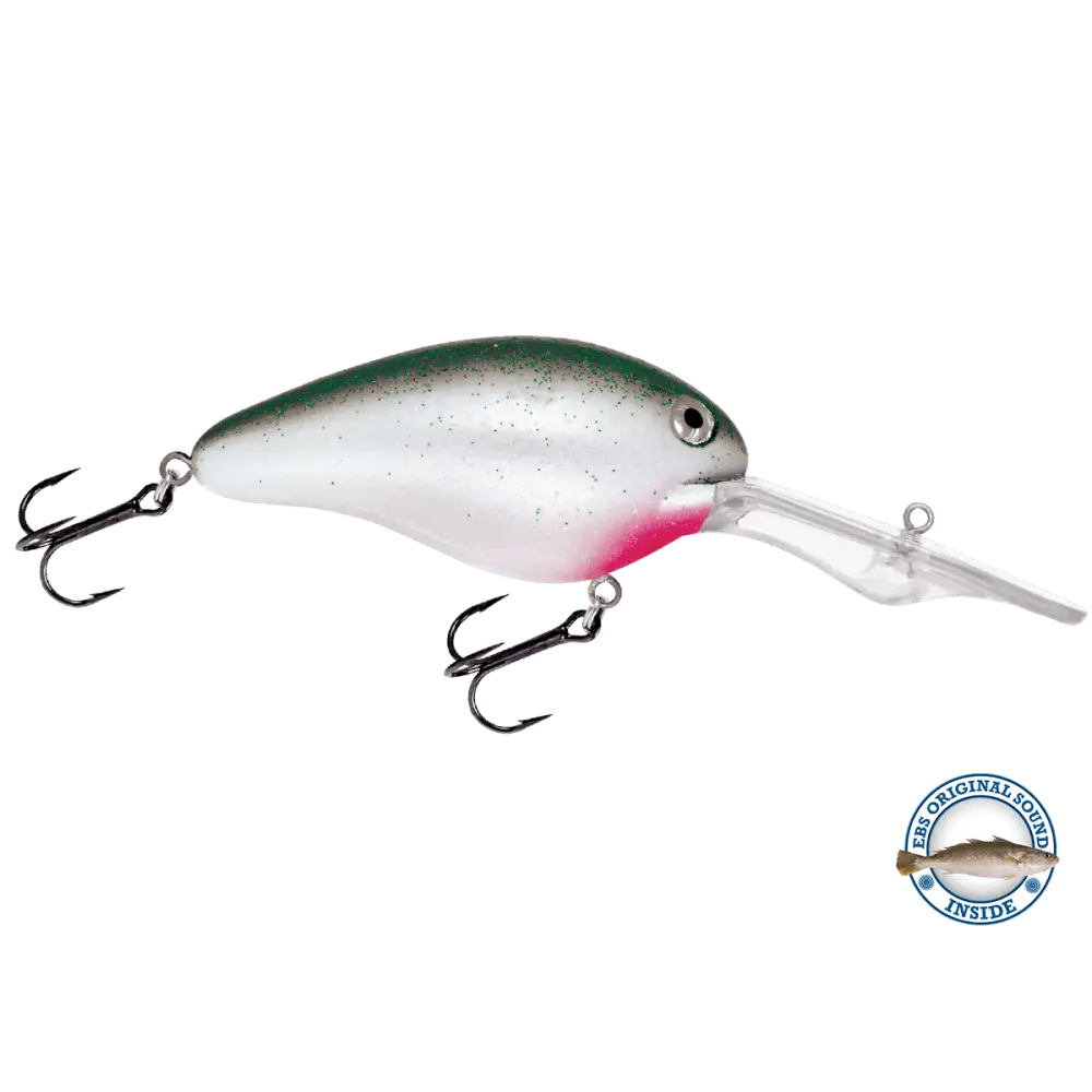 EBS Spinner 50 Inline for Muskie Walleye & Bass – Sound Technology | Color: Tiger Spots Spring Craw Baby Candy Shad