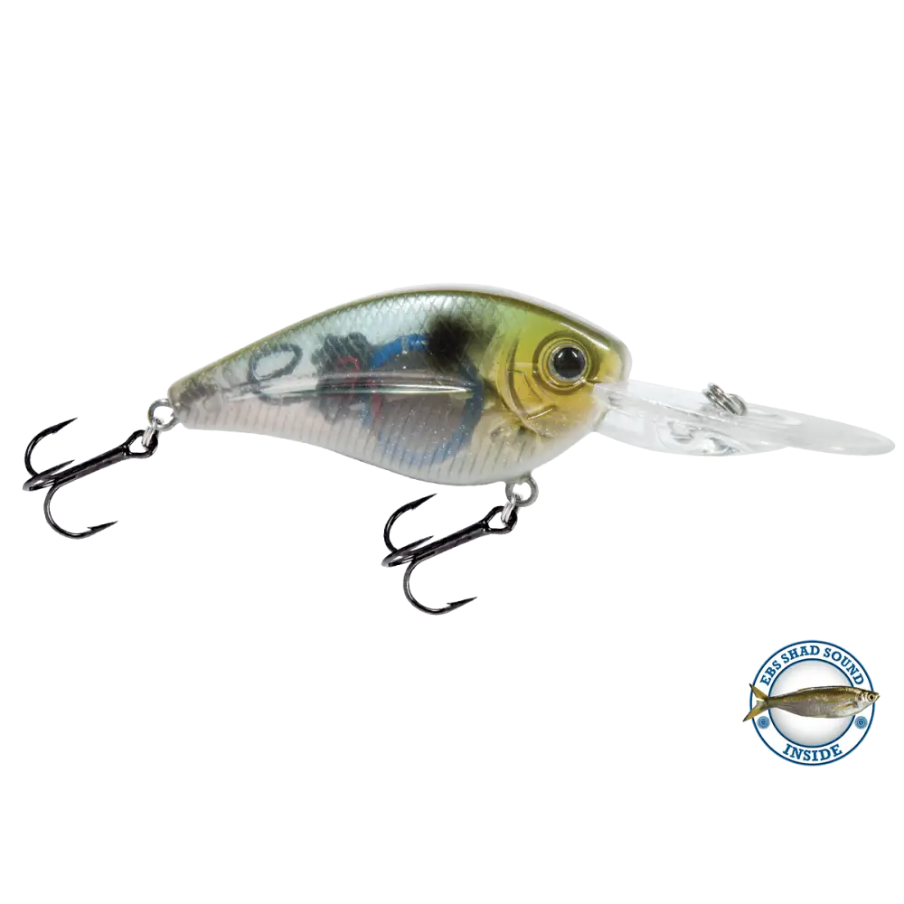FlatMaster Flat-Sided Crankbait for Cold Water Bass & Walleye – EBS Sound Technology | Color: Chartreuse Shad