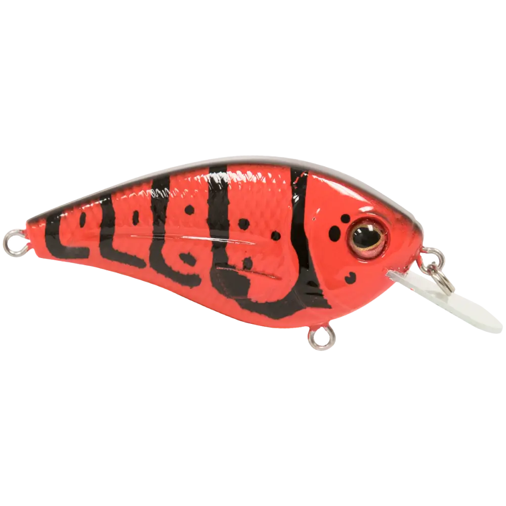FlatMaster SQ Square Bill Crankbait for Bass – EBS Sound Technology | Color: Okie Craw Guntersville Spring Brown