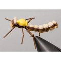 Foam Mantis | Package: 3 Pack | Size: 8 10 12 14 - Artificial Fishing Flies