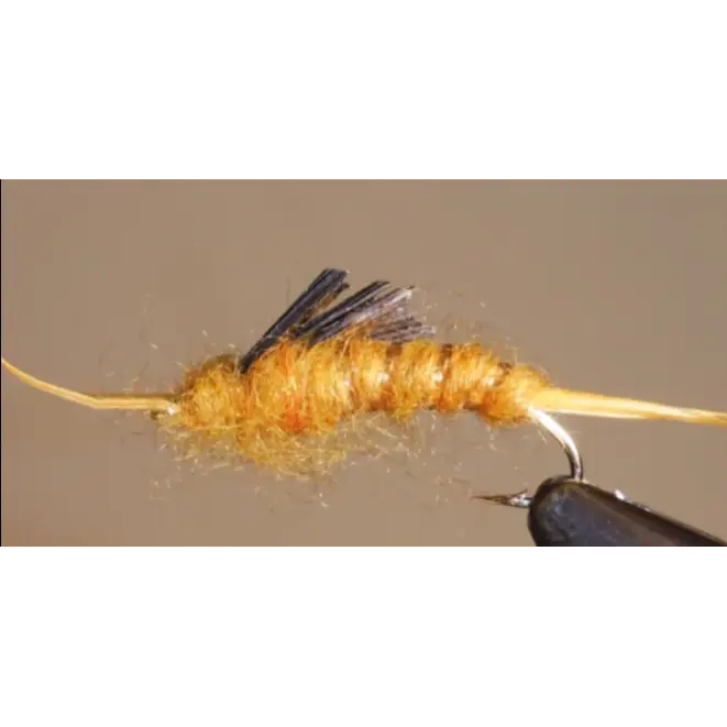 Giant Kauffmann Stonefly Nymphs | Color: Black Brown Golden | Size: 4 6 8 10 12 14 - 3 Pack - Artificial Fishing Flies