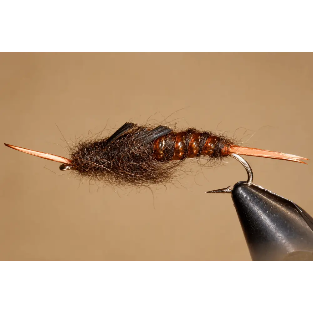Giant Kauffmann Stonefly Nymphs | Color: Black Brown Golden | Size: 4 6 8 10 12 14 - 3 Pack - Artificial Fishing Flies