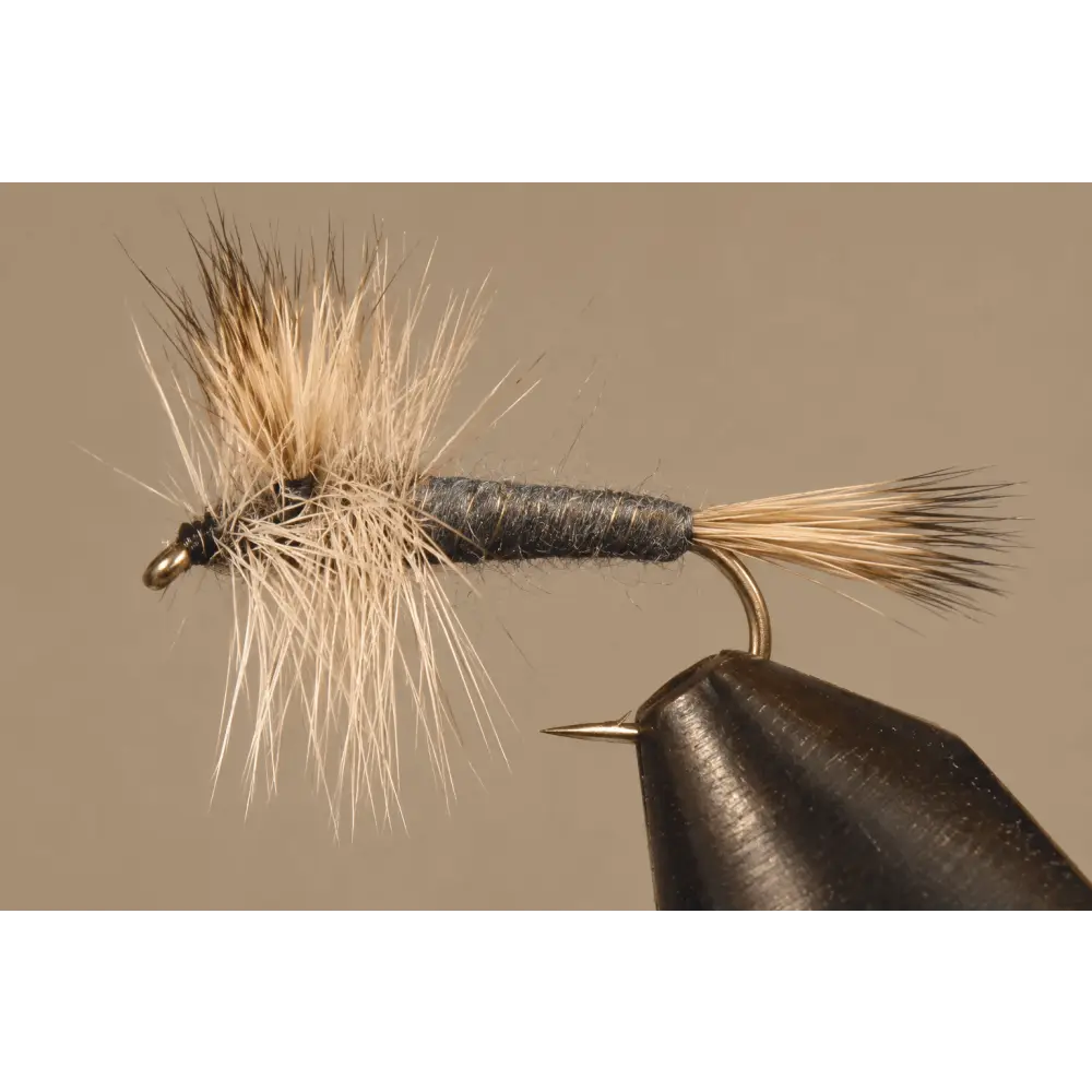Gray Wulff | Size: 10 12 14 16 18 20 | Package: 3 Pack Dozen - Artificial Fishing Flies