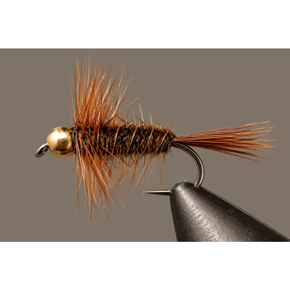 Halfback Stonefly Nymph | Style: Beadhead Standard | Size: 6 8 10 12 14 16 - 3 Pack - Artificial Fishing Flies