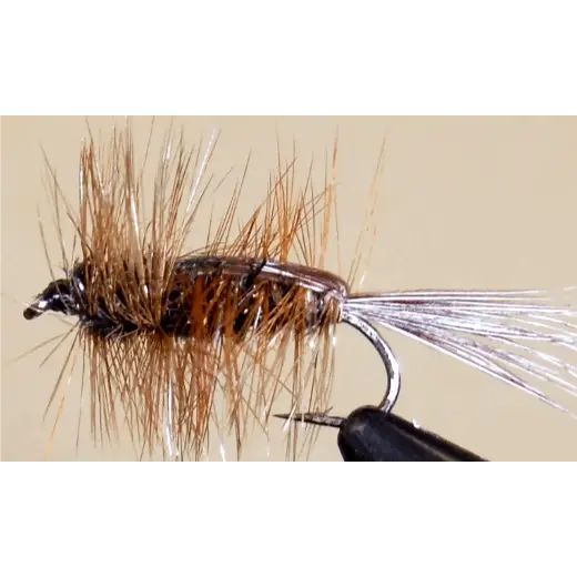 Halfback Stonefly Nymph | Style: Beadhead Standard | Size: 6 8 10 12 14 16 - 3 Pack - Artificial Fishing Flies