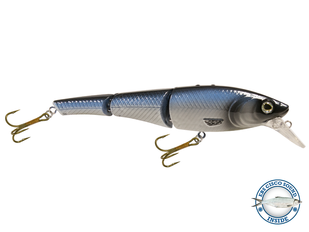 Head Hunter Magnum 10’’ Double-Jointed Trophy Swimbait – EBS Sound Technology | Color & Sound: Fire Perch / Green / Red