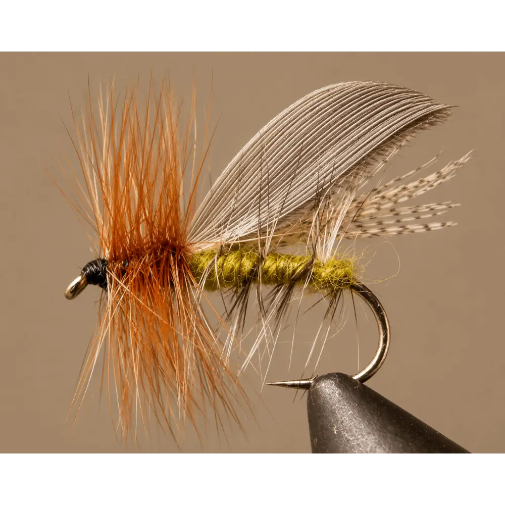 Henryville Caddis | Size: 10 12 16 18 20 | Package: 3 Pack Dozen - Artificial Fishing Flies