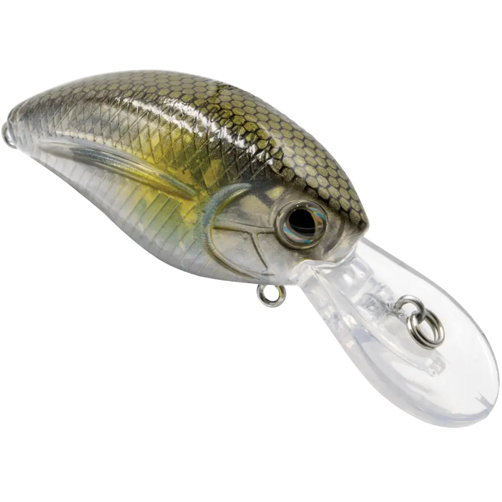 Howeller DMC Jr. Championship Crankbait – EBS Sound Technology | Color: Melon Shad Ayu Pro Green XXX True Bream