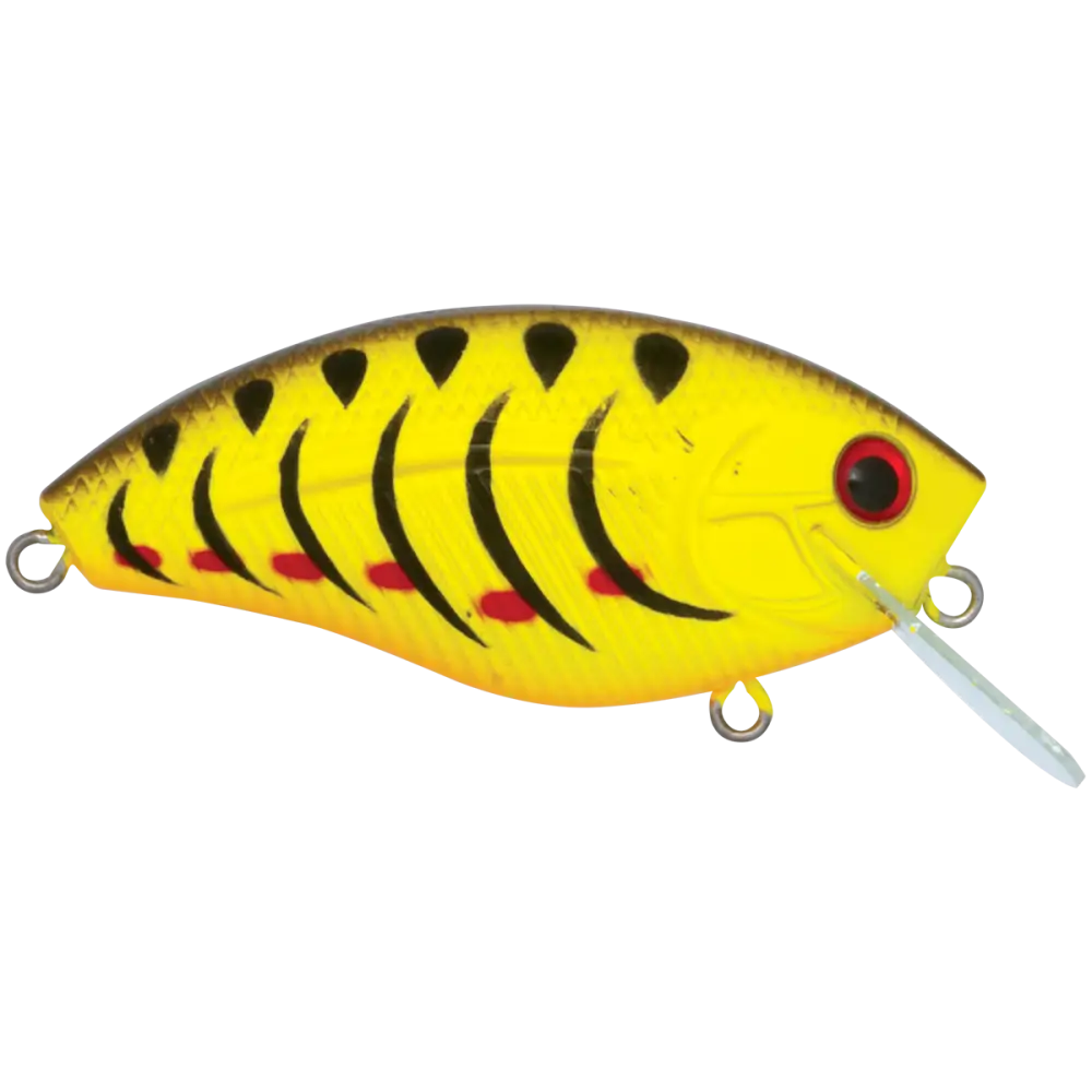 Howeller DMC SQ Square Bill Crankbait – EBS MultiTouch 3-Sound Technology | Color: Guntersville Craw Spring Yellow