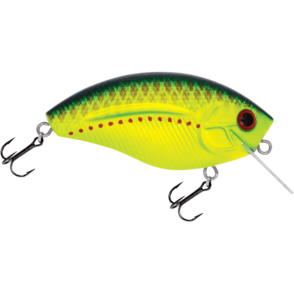 Howeller DMC SQ Square Bill Crankbait for Bass – EBS Sound | Bassmaster Classic Design | Color: Spring Craw
