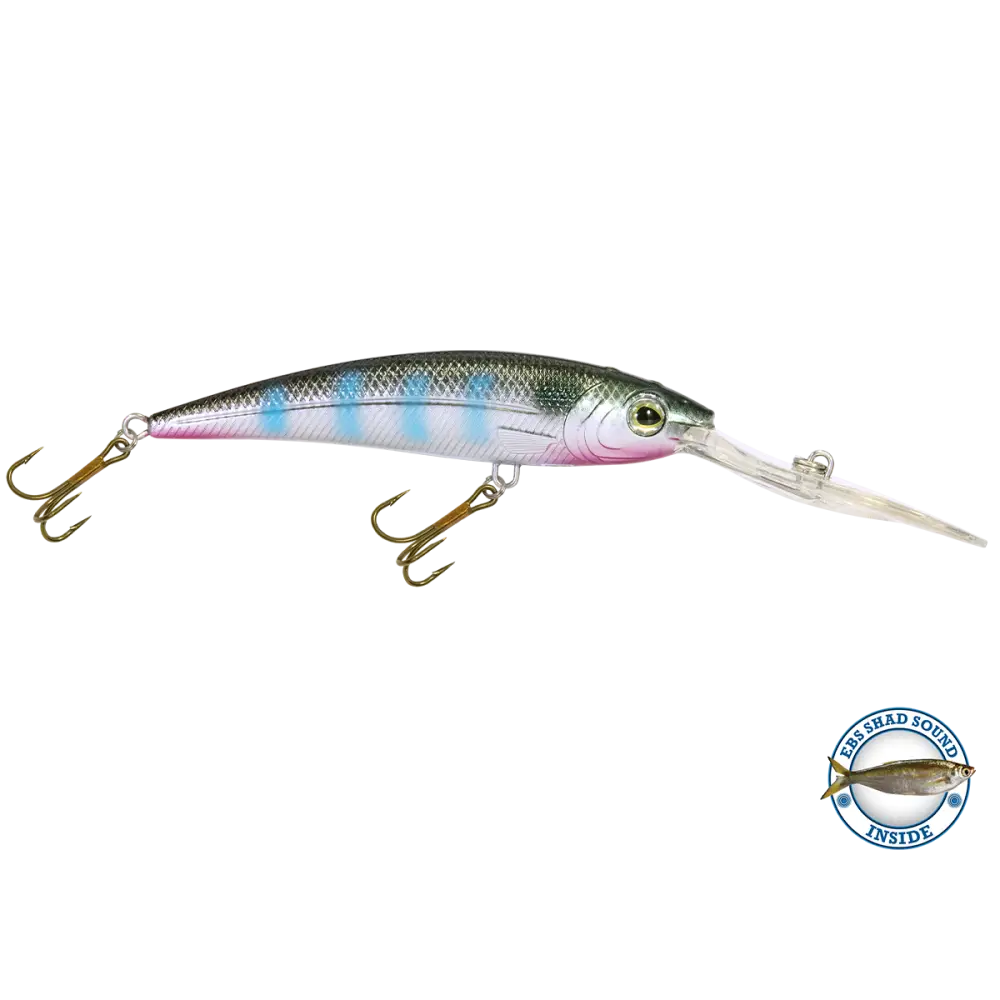 Interceptor Deep-Diving Crankbait for Musky & Pike – EBS Sound Technology | Color Sound: Blue Tiger / Minnow Candy Corn