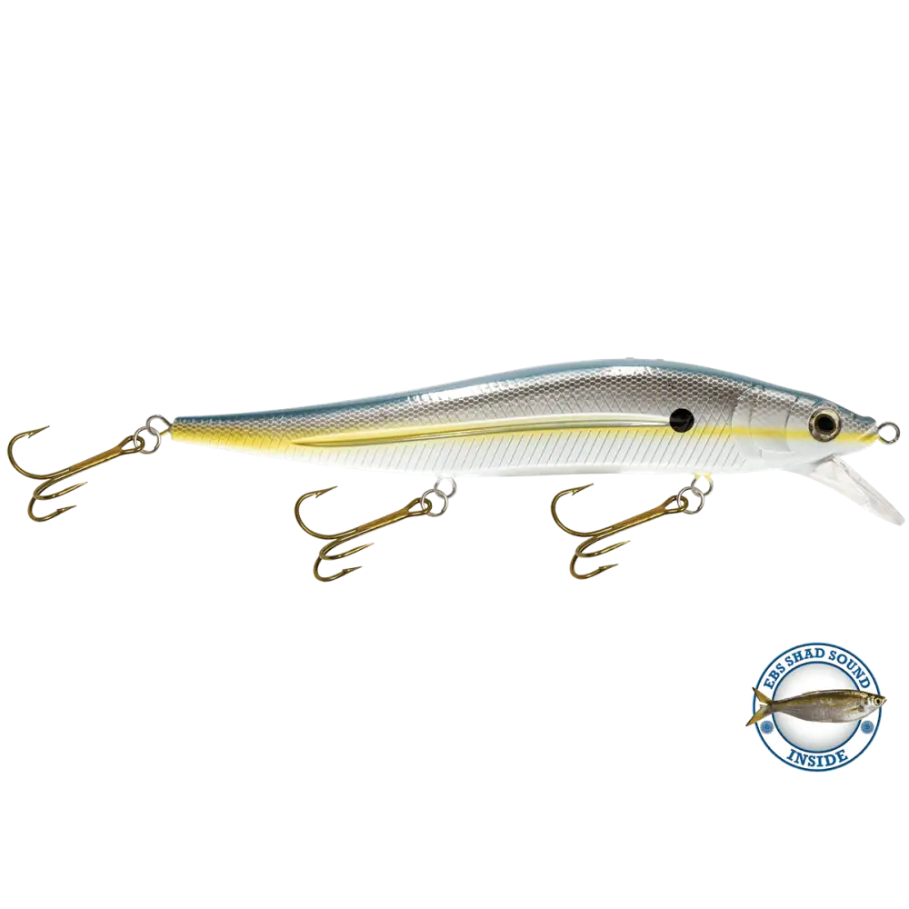 JerkMaster 10’’ Deep-Diving Jerkbait – EBS Sound Technology | Color & Sound: Blue Shiner / Perch Chaos / Cisco Fire Ice