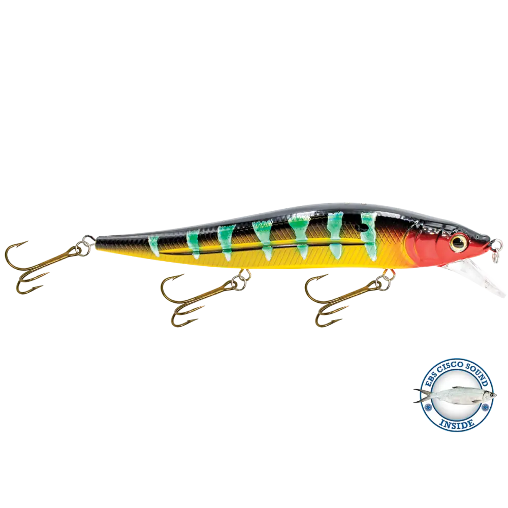 JerkMaster 10’’ Deep-Diving Jerkbait – EBS Sound Technology | Color & Sound: Blue Shiner / Perch Chaos / Cisco Fire Ice
