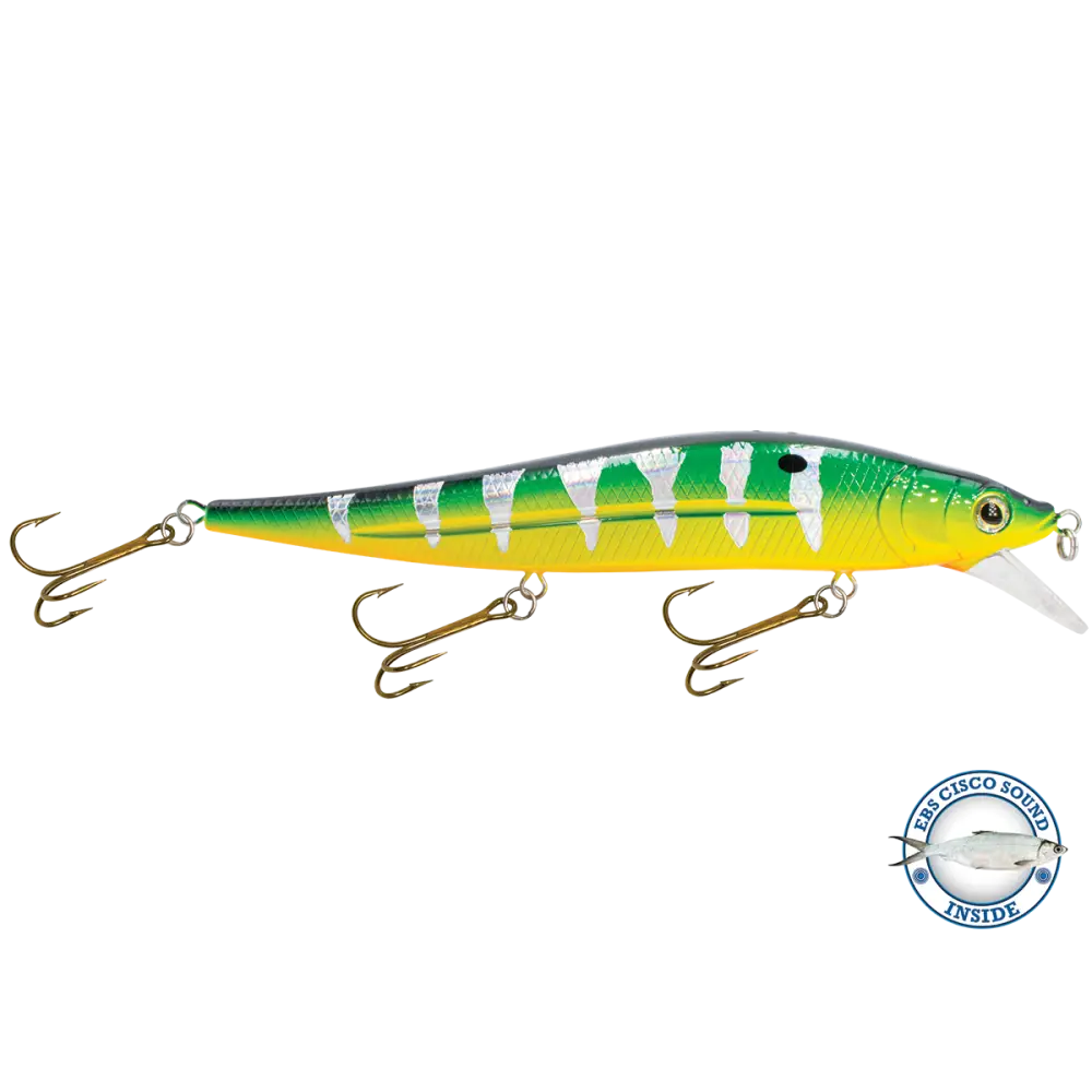 JerkMaster 10’’ Deep-Diving Jerkbait – EBS Sound Technology | Color & Sound: Blue Shiner / Perch Chaos / Cisco Fire Ice