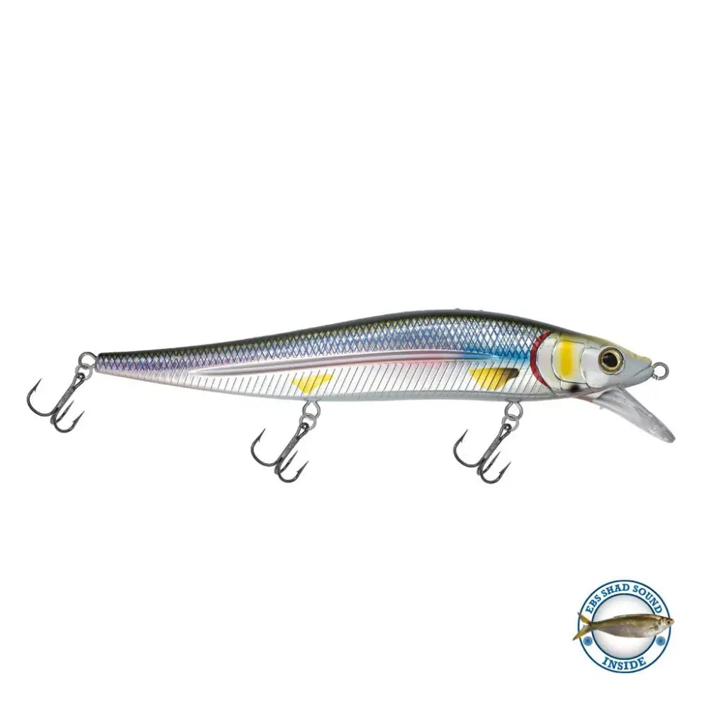 JerkMaster 10’’ Deep-Diving Jerkbait – EBS Sound Technology | Color & Sound: Blue Shiner / Perch Chaos / Cisco Fire Ice