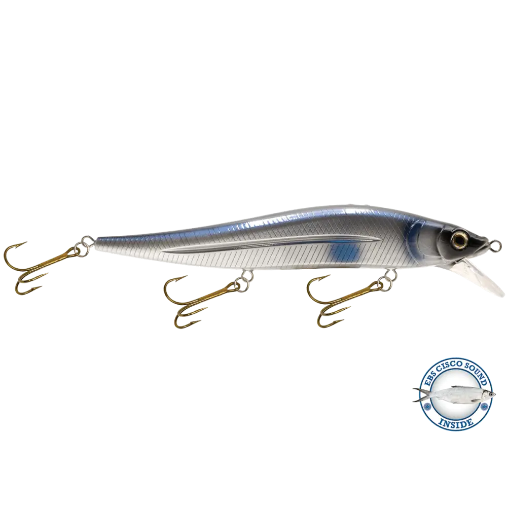 JerkMaster 10’’ Deep-Diving Jerkbait – EBS Sound Technology | Color & Sound: Blue Shiner / Perch Chaos / Cisco Fire Ice