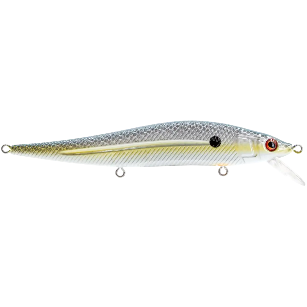 JerkMaster 121 Slow-Sinking Jerkbait for Bass – EBS MultiTouch | Designed by Hank Cherry | Color: Pro Green Beauty Shad