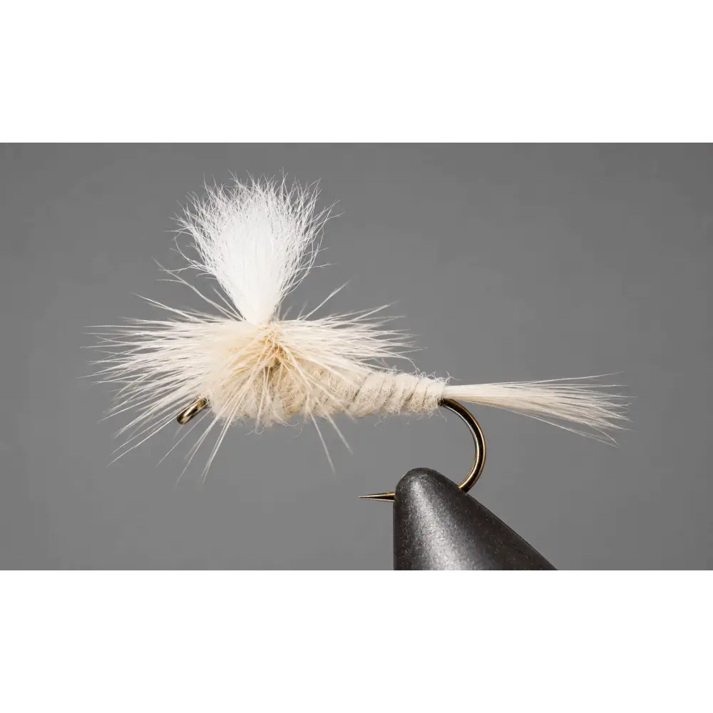 Light Cahill | Style: Classic Parachute | Size: 10 12 14 16 18 - 3 Pack - Artificial Fishing Flies