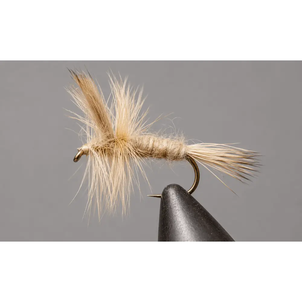 Light Cahill - Wulff | Size: 12 14 16 18 20 | Package: 3 Pack Dozen - Artificial Fishing Flies