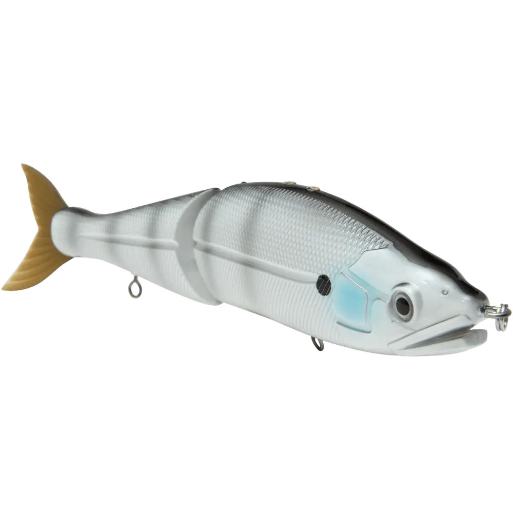 Livingston Lures B Venom 8’’ – EBS Variable-Depth Glide Swimbait | 4.17oz | Color: Clearwater Shad Real Chartreuse Blue