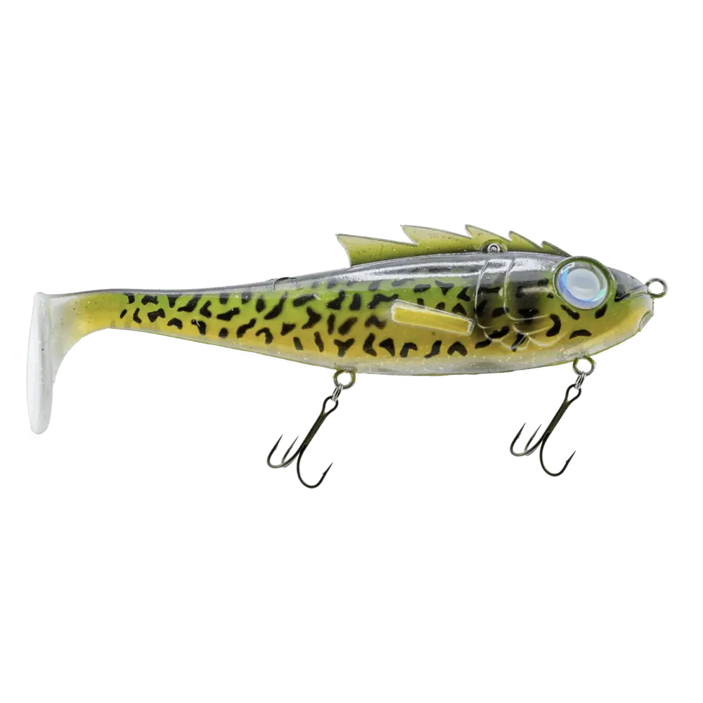 Livingston Lures Mustang – EBS Predator Swimbait for Musky & Pike | Color: Walleye BB Perch Krappy Disco Shad Sexiest