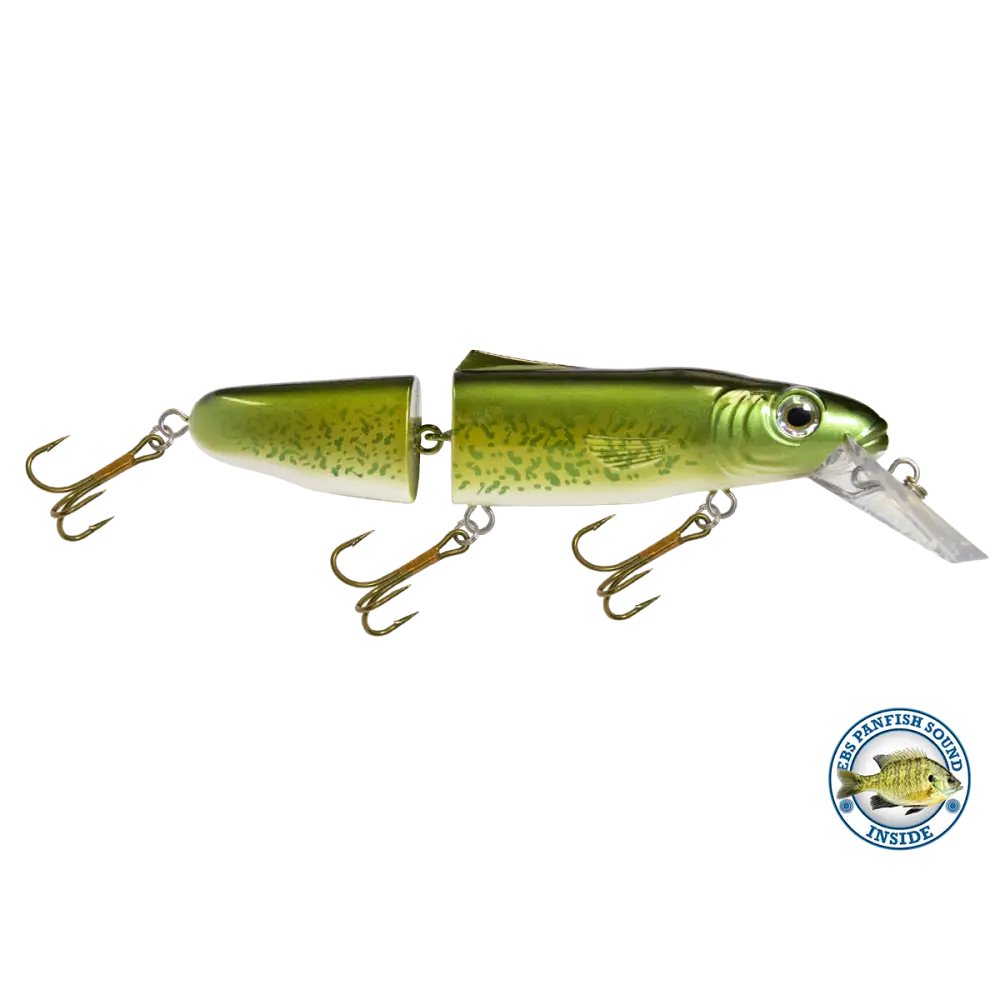 Livingston Lures Pounder – EBS Jointed Crankbait for Musky & Pike | Color Sound: Whitefish / Herring Sound Crappie