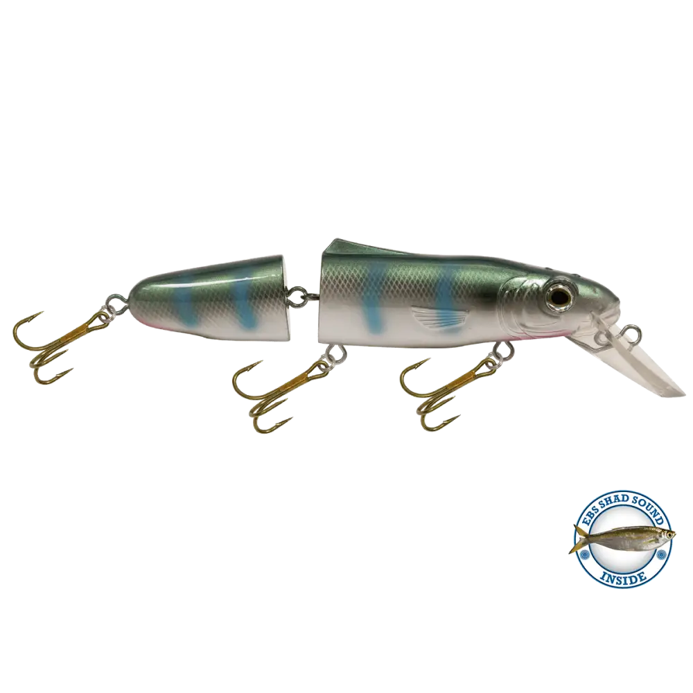 Livingston Lures Pounder – EBS Jointed Crankbait for Musky & Pike | Color Sound: Whitefish / Herring Sound Crappie