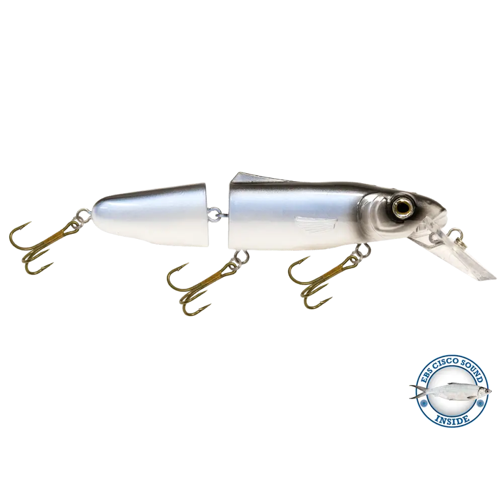Livingston Lures Pounder – EBS Jointed Crankbait for Musky & Pike | Color Sound: Whitefish / Herring Sound Crappie
