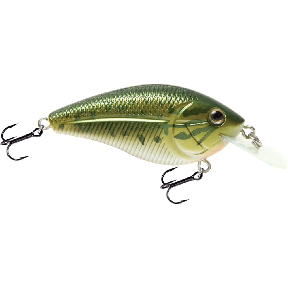 Livingston Lures Primetyme CB 1.5 – EBS Coffin Bill Crankbait for Bass | Color: Baby Chartreuse Shad Tennessee Melon