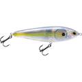 Livingston Lures School Master – EBS MultiTouch Lipless Crankbait | 4’’ /.76oz | Color: Beauty Shad Black Back Chrome