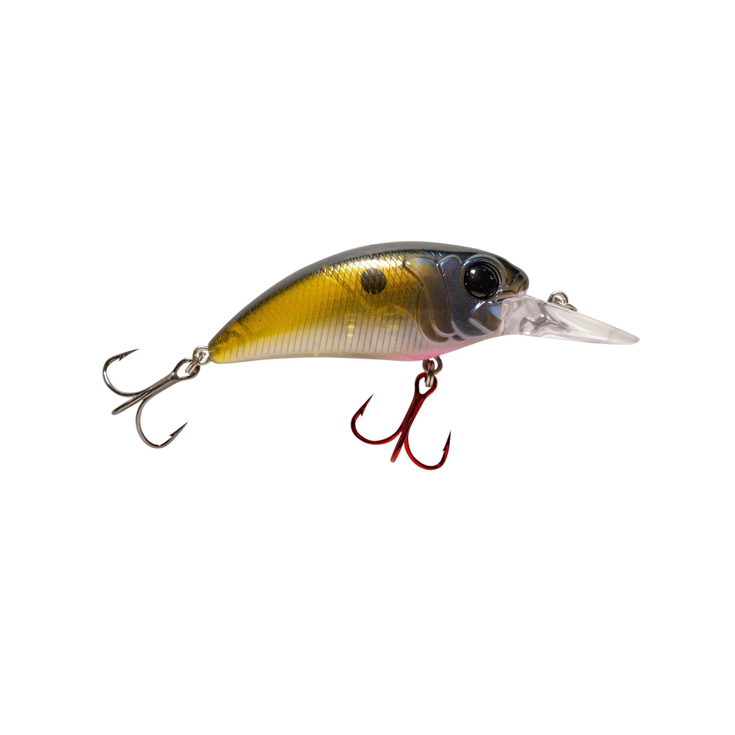 MONSTERBASS Seeker 8 Medium Diving Crankbait | ft Depth Bass Lure | Color: Blue Craw Blackout Chrome Bluegill Sexy Bone