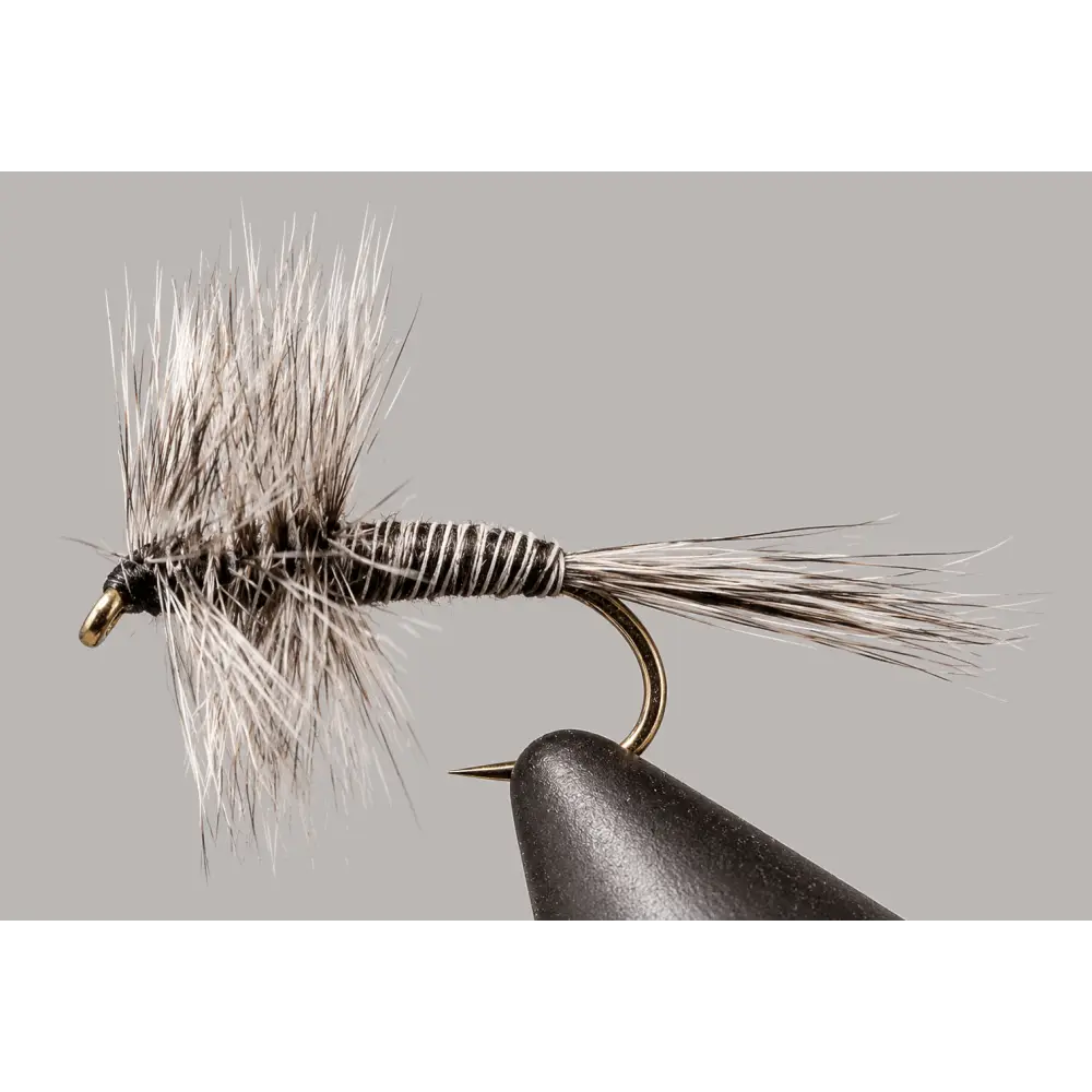 Mosquito | Package: 3 Pack Dozen | Size: 10 12 14 16 18 20 - Artificial Fishing Flies