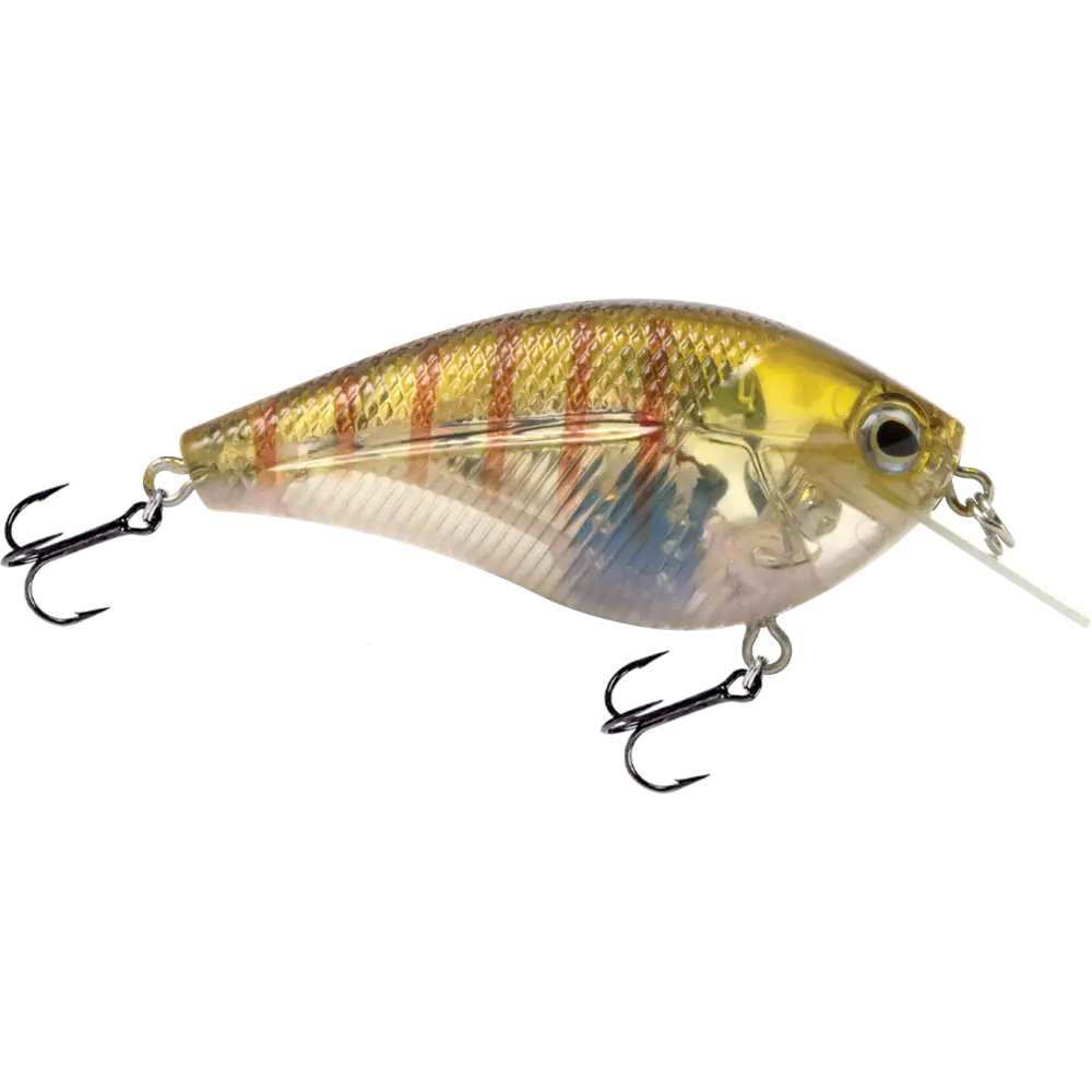 Primetyme SQ 2.0 Square Bill Crankbait – EBS MultiTouch 3-Sound Technology | Color: Okie Craw Guntersville Yellow