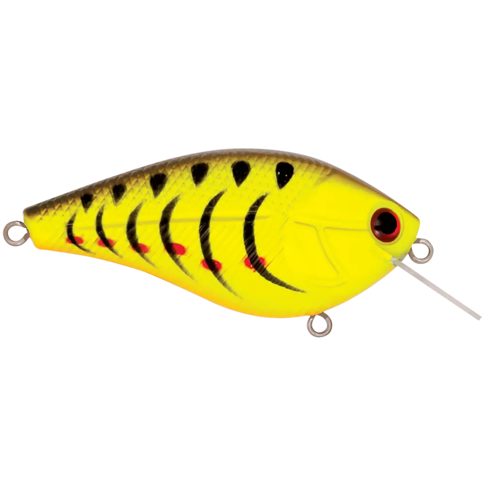 Primetyme SQ 2.0 Square Bill Crankbait – EBS MultiTouch 3-Sound Technology | Color: Okie Craw Guntersville Yellow
