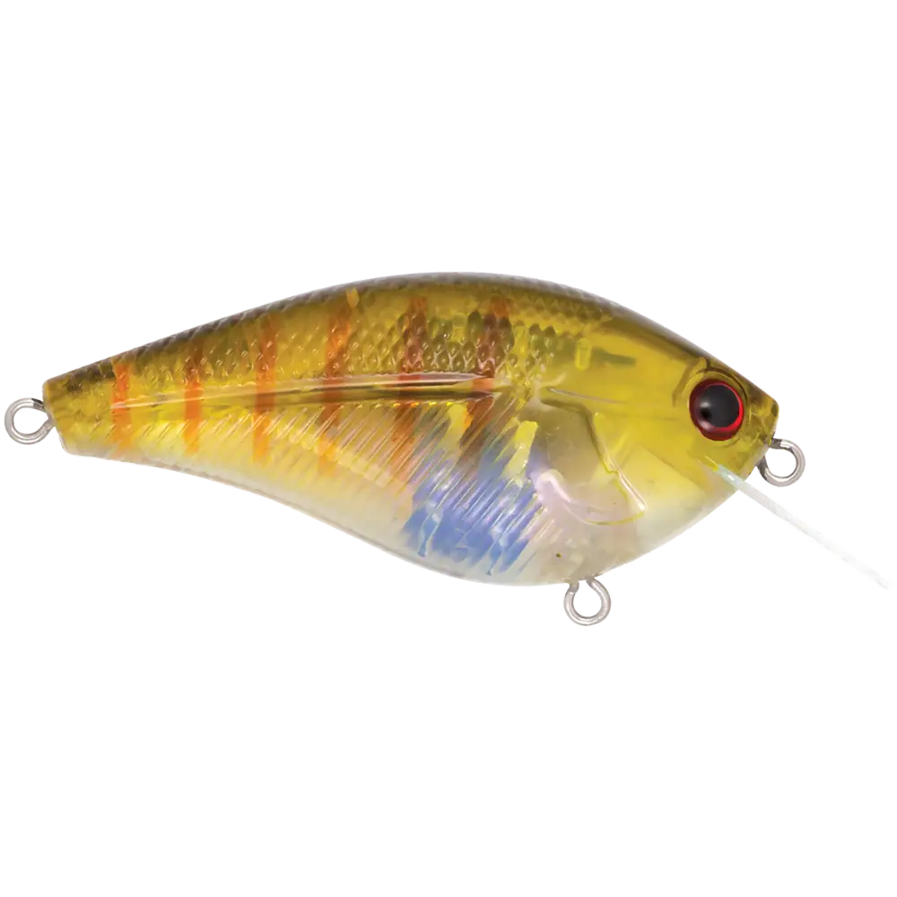 Primetyme SQ 2.0 Square Bill Crankbait – EBS MultiTouch 3-Sound Technology | Color: Okie Craw Guntersville Yellow